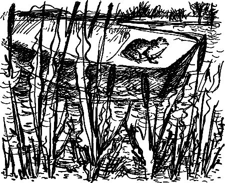 Сергей Покровский, Александр Линевский и др. - Жертвы дракона