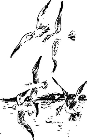 Сергей Покровский, Александр Линевский и др. - Жертвы дракона