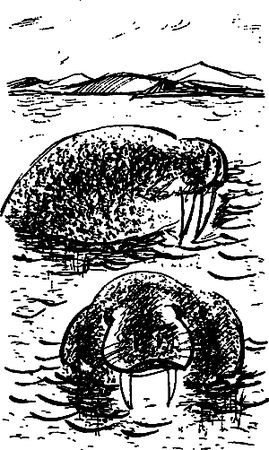 Сергей Покровский, Александр Линевский и др. - Жертвы дракона