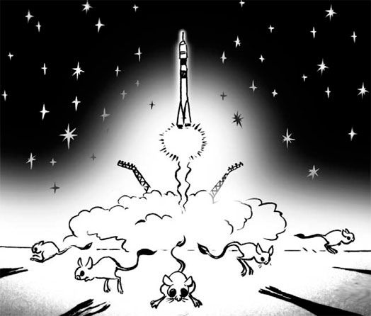 Виктор Шендерович - Соло на флейте