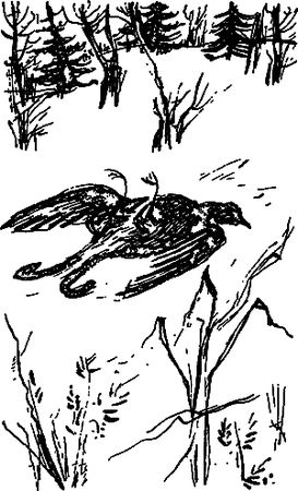 Сергей Покровский, Александр Линевский и др. - Жертвы дракона