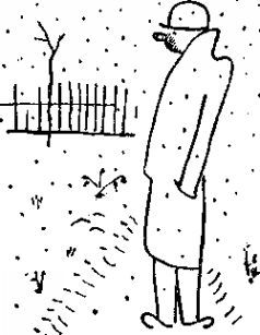 Карел Чапек - Год садовода