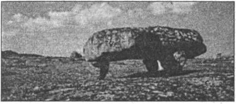 Валерий Дёмин - Русь нордическая