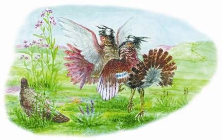 Юлия Рычкова - Вымершие животные