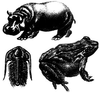 Дэвид Эттенборо - Жизнь на Земле. Естественная история