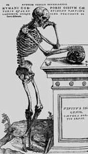 Антон Нестеров - Колесо Фортуны. Репрезентация человека и мира в английской...