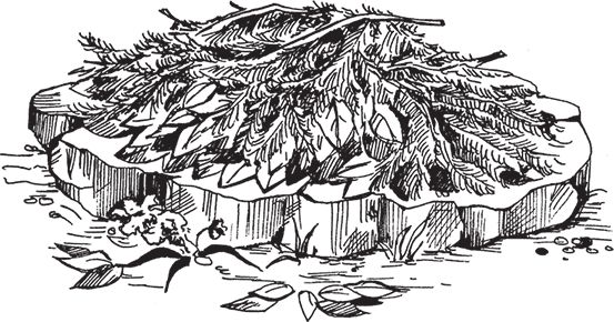 Сергей Кашин - Сезонные работы. Как после долгой зимы вырастить богатый урожай