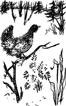 Сергей Покровский, Александр Линевский и др. - Жертвы дракона