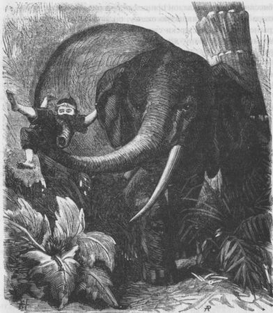 Луи Буссенар - Путешествие парижанина вокруг света