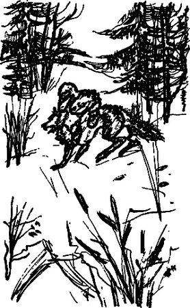 Сергей Покровский, Александр Линевский и др. - Жертвы дракона