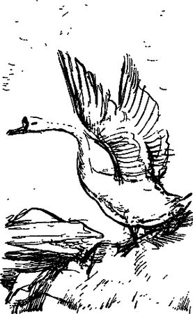 Сергей Покровский, Александр Линевский и др. - Жертвы дракона