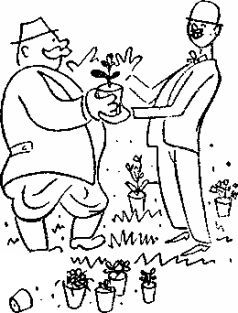 Карел Чапек - Год садовода