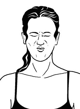 Элиза Танака - Сексуальные практики Востока. Любовное искусство гейши