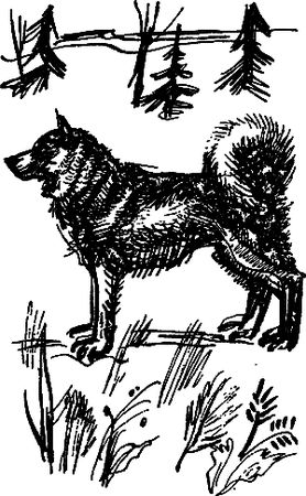 Сергей Покровский, Александр Линевский и др. - Жертвы дракона