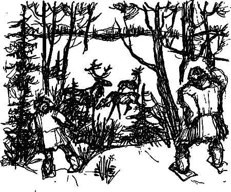 Сергей Покровский, Александр Линевский и др. - Жертвы дракона