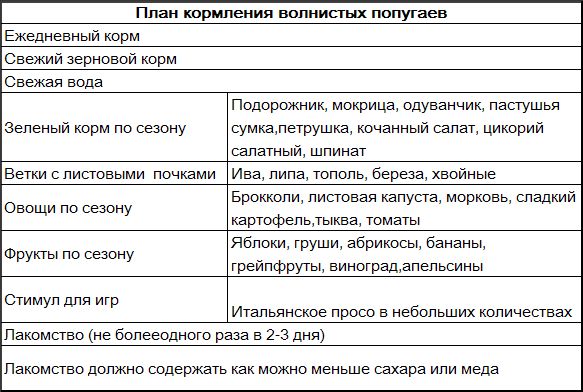 Иммануэль Бирмелин - Волнистые попугаи