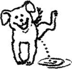 Стихотерапия