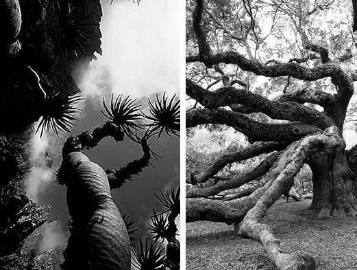 Павел Тюрин - Legenda о "писающем британце"