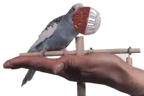 Иммануэль Бирмелин - Волнистые попугаи