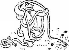 Карел Чапек - Год садовода