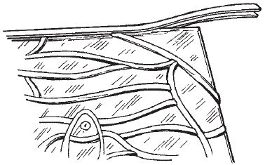 Елена Каминская - Витражи своими руками