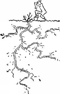 Карел Чапек - Год садовода