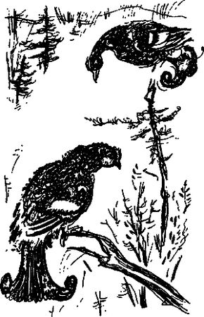 Сергей Покровский, Александр Линевский и др. - Жертвы дракона