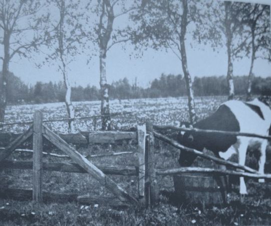 Андре Моруа - Голландия