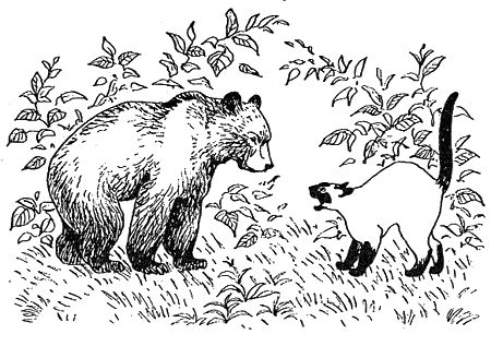 Дорин Тови - Появление Сесса