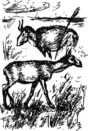 Сергей Покровский, Александр Линевский и др. - Жертвы дракона