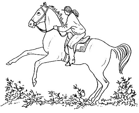 Дорин Тови - Появление Сесса