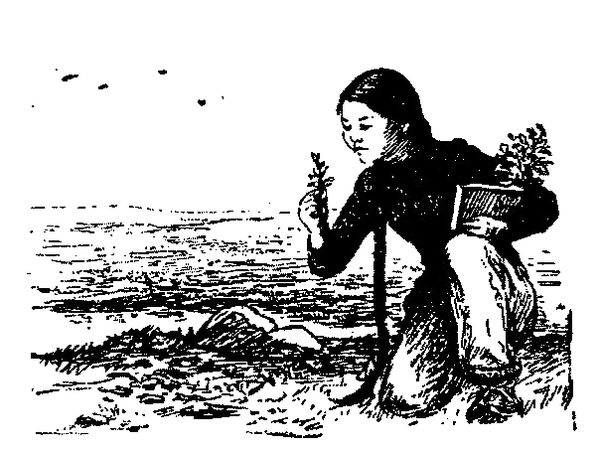 Юрий Рытхэу - Люди нашего берега [Рассказы]