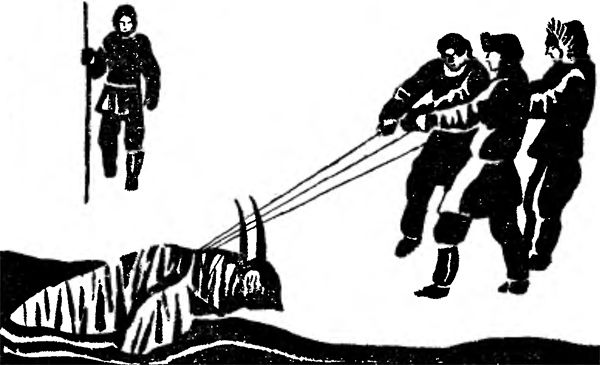 Виталий Гербачевский - Начальник острова Врангеля