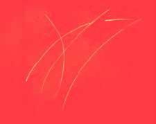 Павел Тюрин - Legenda о "писающем британце"