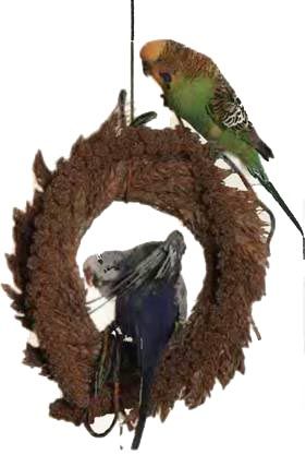 Иммануэль Бирмелин - Волнистые попугаи