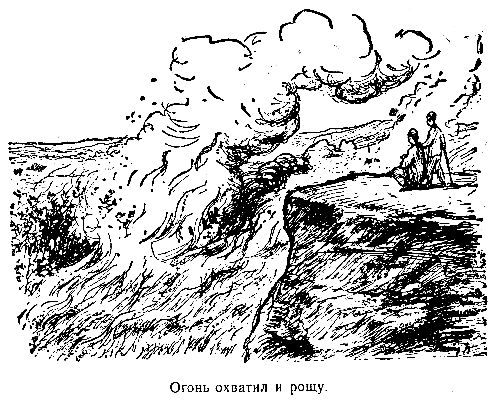 Владимир Обручев - Золотоискатели в пустыне (Художник П. П. Павлинов)