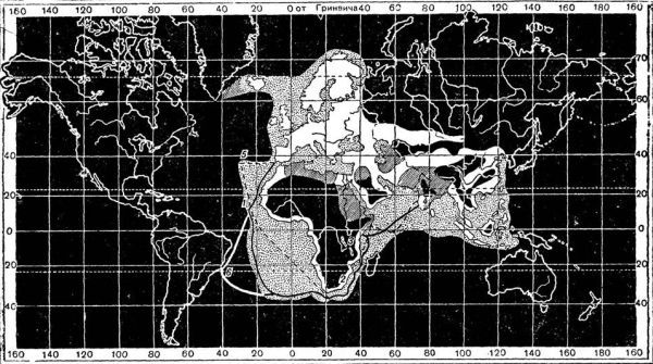 Константин Кунин - Васко да Гама