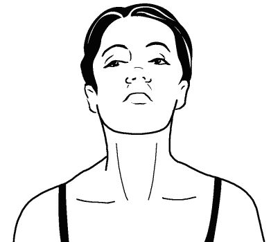 Элиза Танака - Сексуальные практики Востока. Любовное искусство гейши