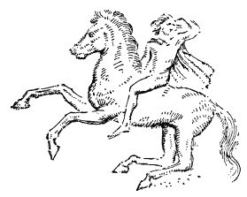 Оливия Кулидж - Римляне