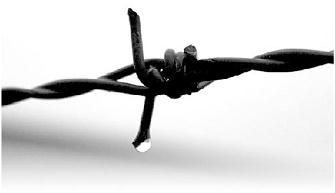 Михаил Жданов - Моссад: одни против всех. История и современность израильской...