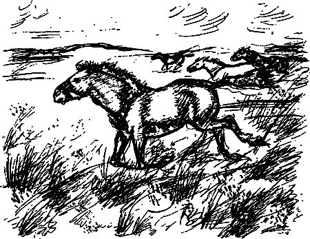 Сергей Покровский, Александр Линевский и др. - Жертвы дракона