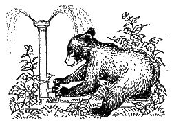 Дорин Тови - Появление Сесса