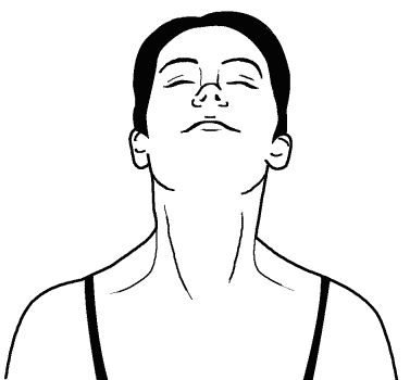 Элиза Танака - Сексуальные практики Востока. Любовное искусство гейши