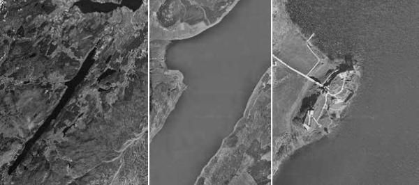 Павел Тюрин - Legenda о "писающем британце"