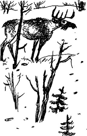 Сергей Покровский, Александр Линевский и др. - Жертвы дракона