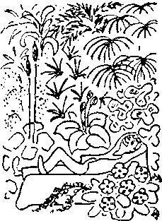 Карел Чапек - Год садовода