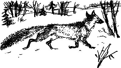 Сергей Покровский, Александр Линевский и др. - Жертвы дракона