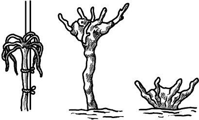 Николай Анисимов - Умный виноградник без хлопот