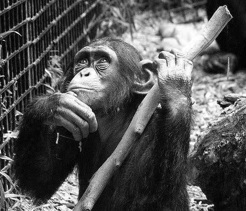 Павел Тюрин - Legenda о "писающем британце"