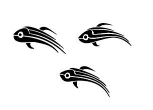 Петр Заспа - Аквасфера